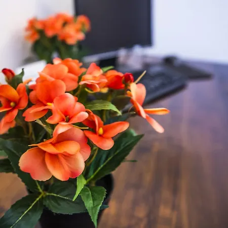 Appartement Casa Aretusa - Ortigia Holidays *